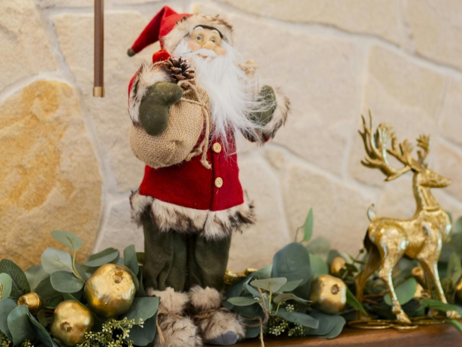 Celebrate Christmas in Nature at Currumbin Wildlife Sanctuary