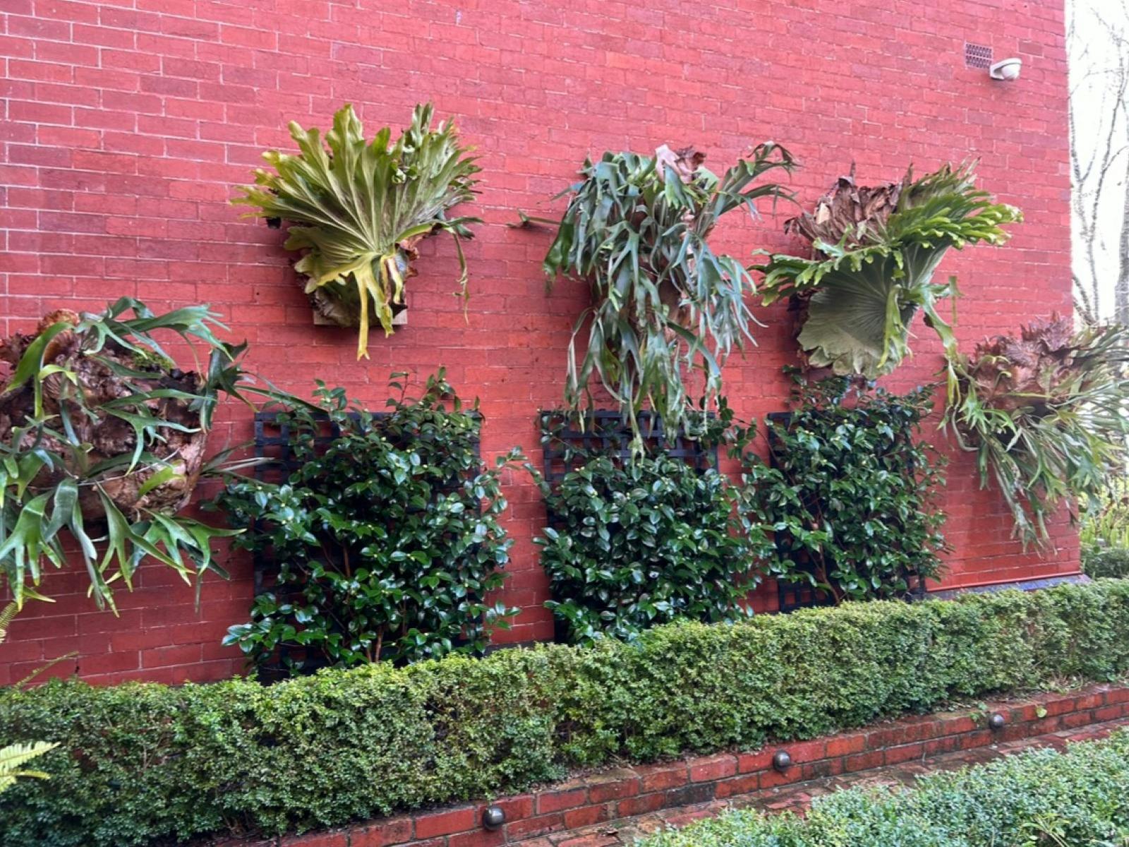 Elk and Stag Horns on brick wall