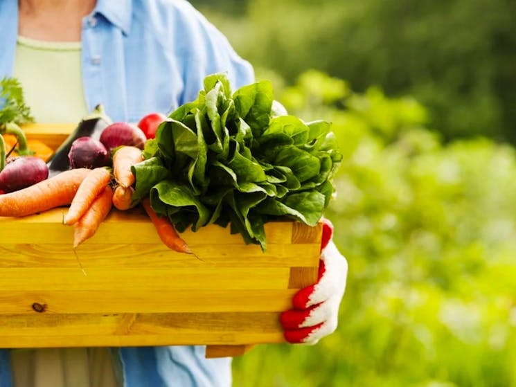 Kangaroo Valley Farmers Market