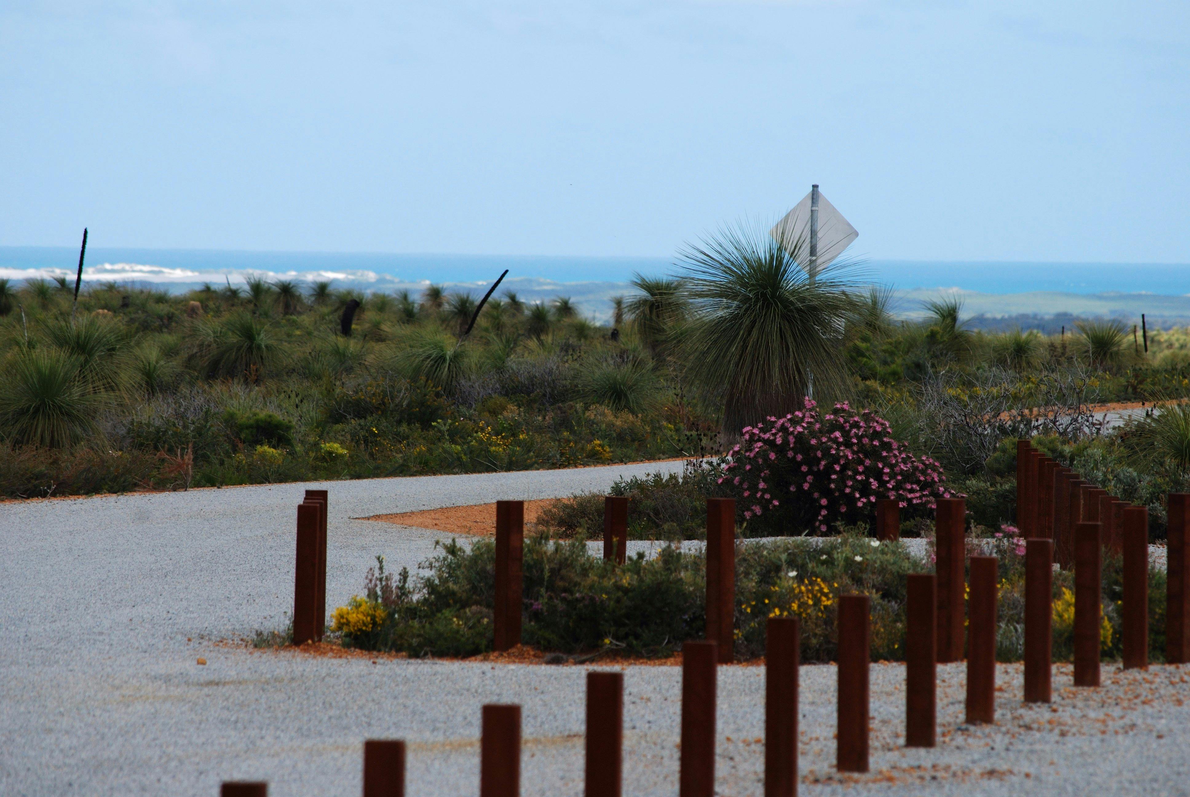 Everlastings Wildflower Trail, Leseur National Park, Western Australia