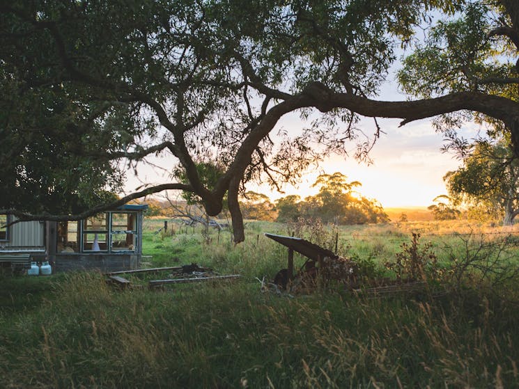 Hernani Wilderness Hut