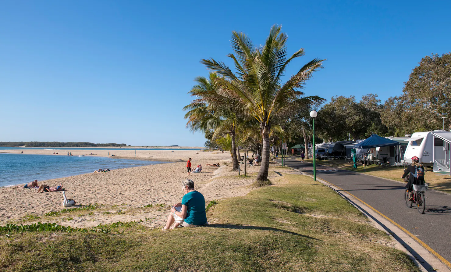 Cotton Tree Holiday Park shot with one side the beach with palm trees and other side with caravans