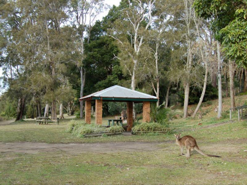 Sumber gambar: http://www.visitnsw.com/destinations/north-coast/lake-macquarie-area/morriset/attractions/morisset-picnic-area