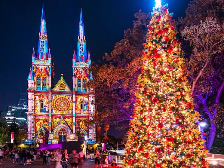 St. Mary's Cathedral illuminated by the Lights of Christmas light projection in Sydney