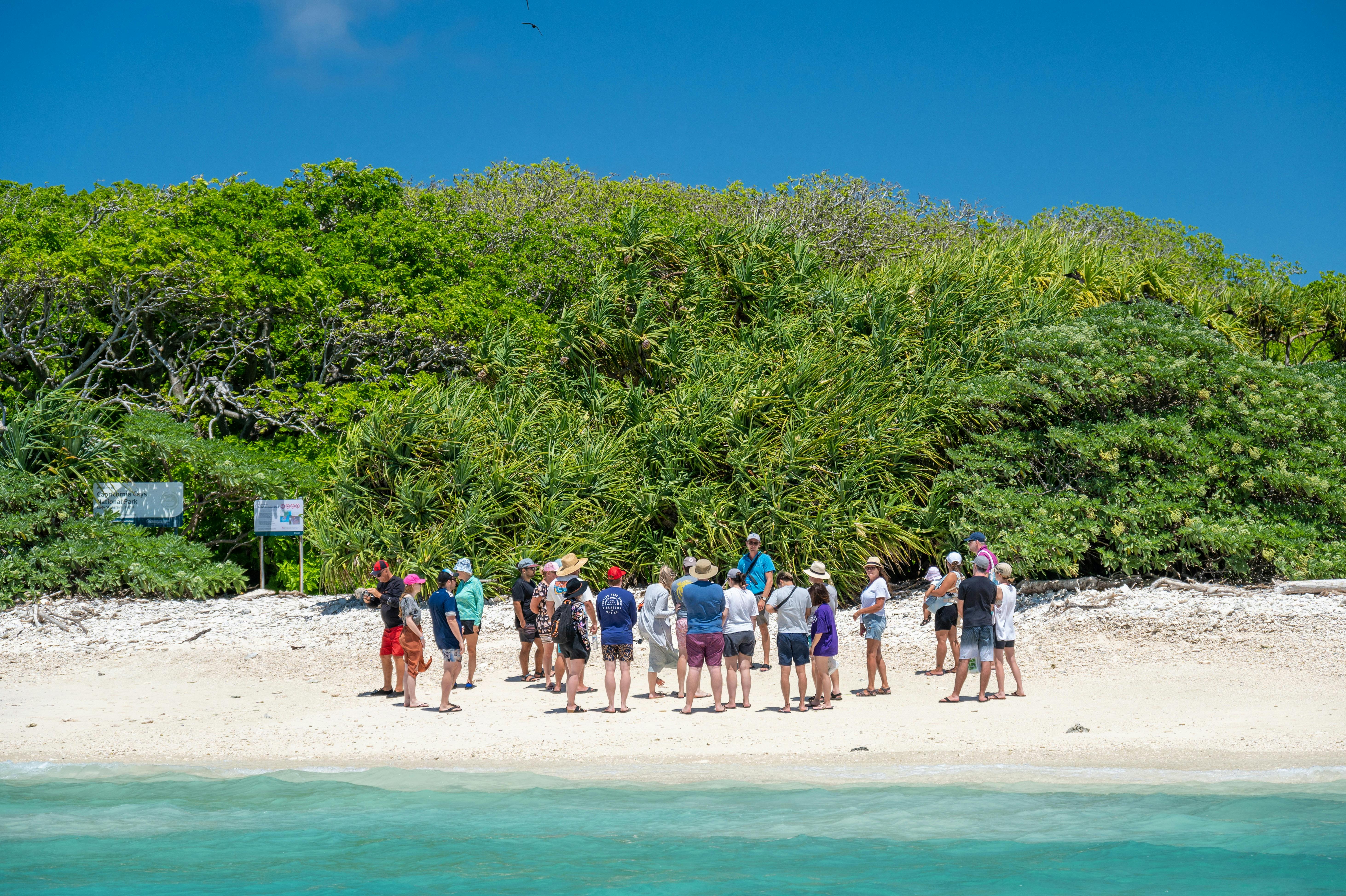 Lady Musgrave Island Day Tour