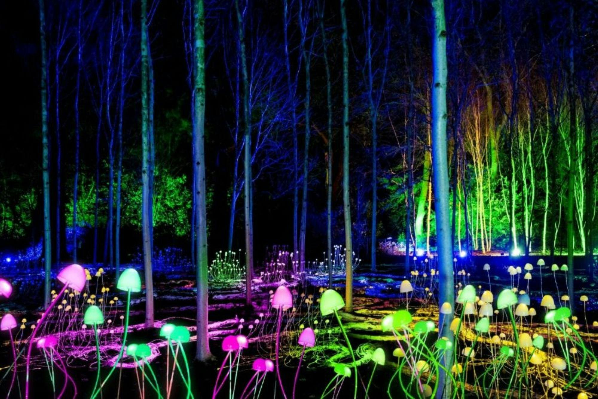 Lightscape at Royal Botanic Gardens Melbourne