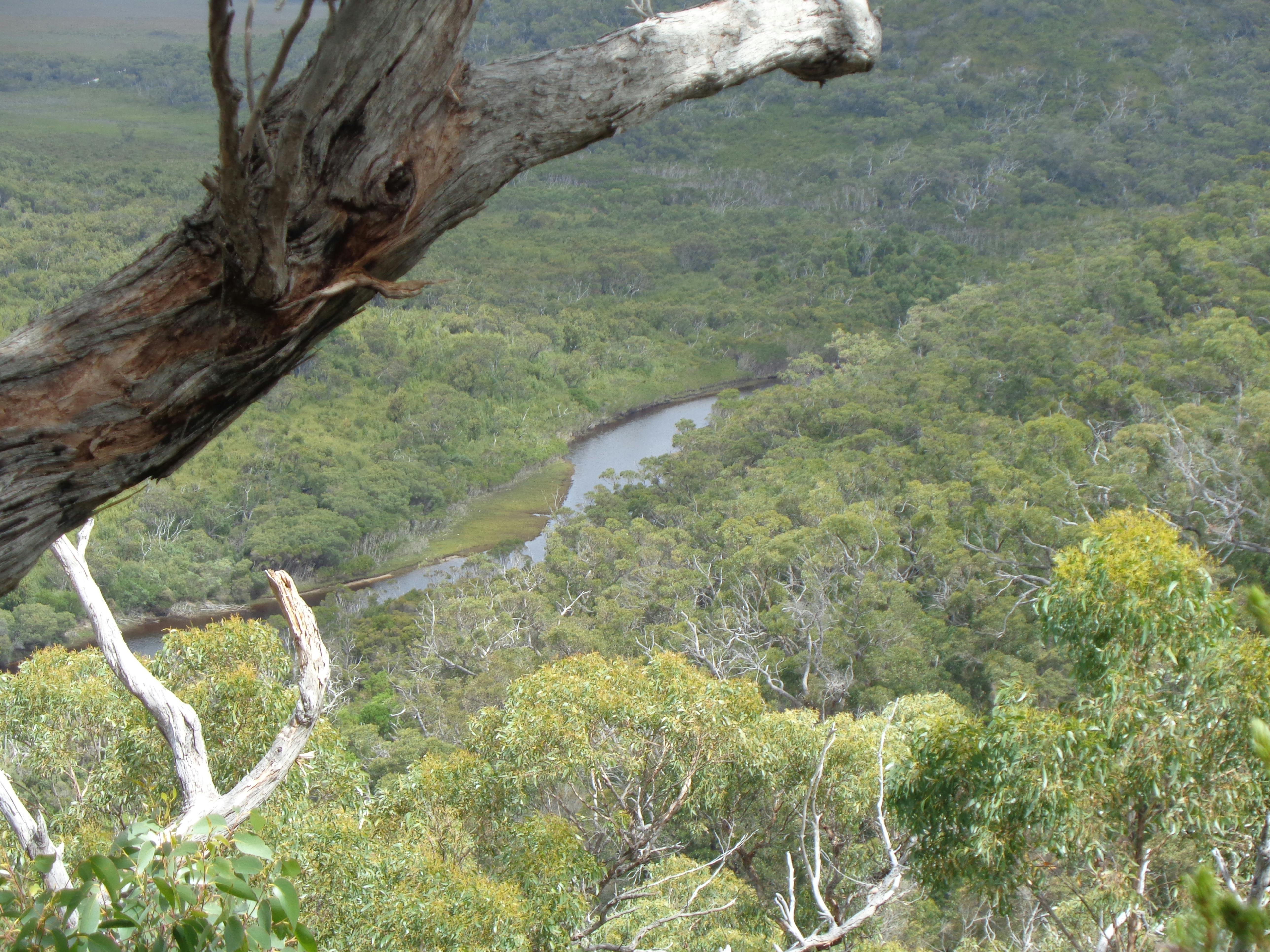 View from the track back towards Miranda Creek