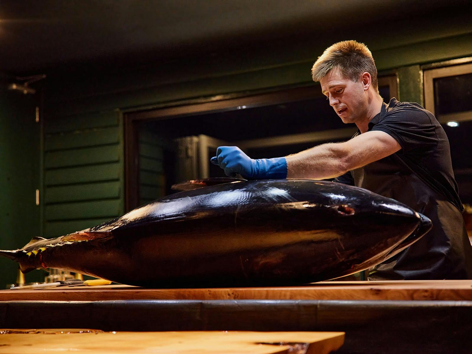 Southern Bluefin tuna carving ceremony image