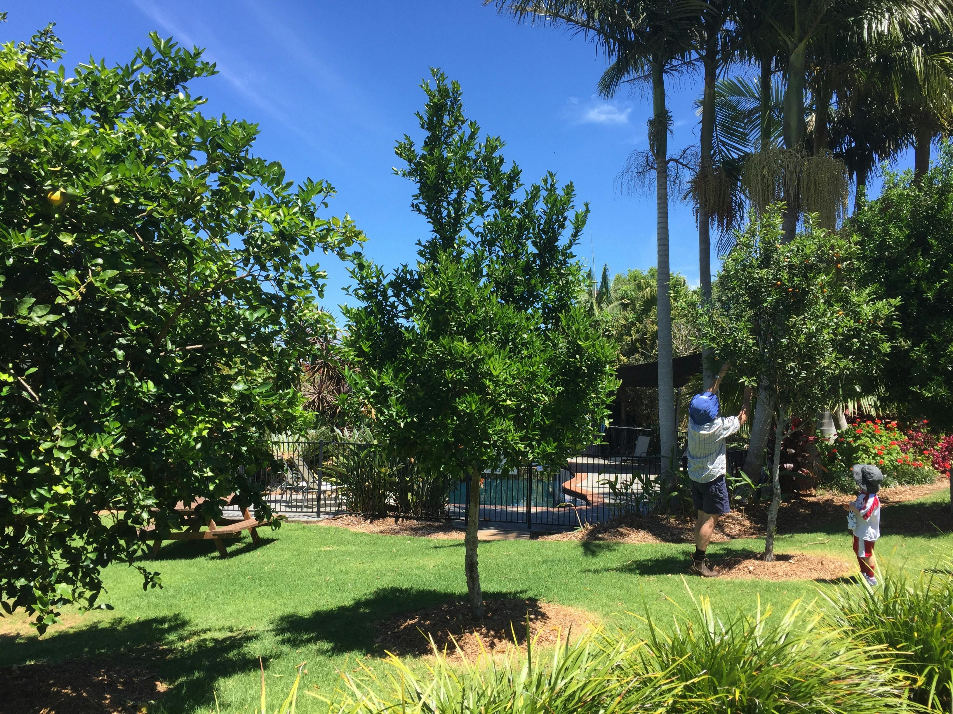 Spring into Spring - Meditation and Yoga Retreat