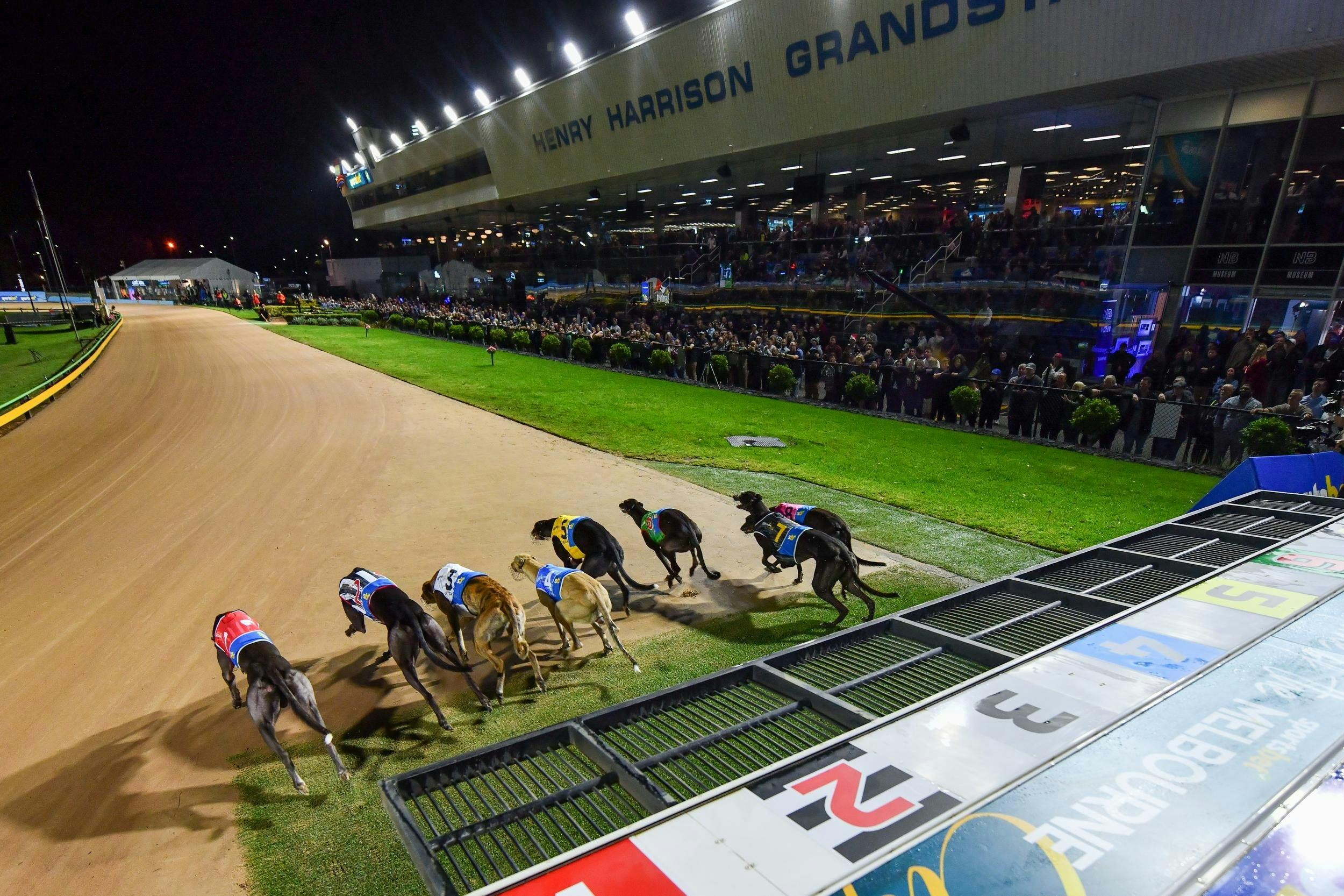 2023 Melbourne Cup crowd at Sandown Park, Springvale