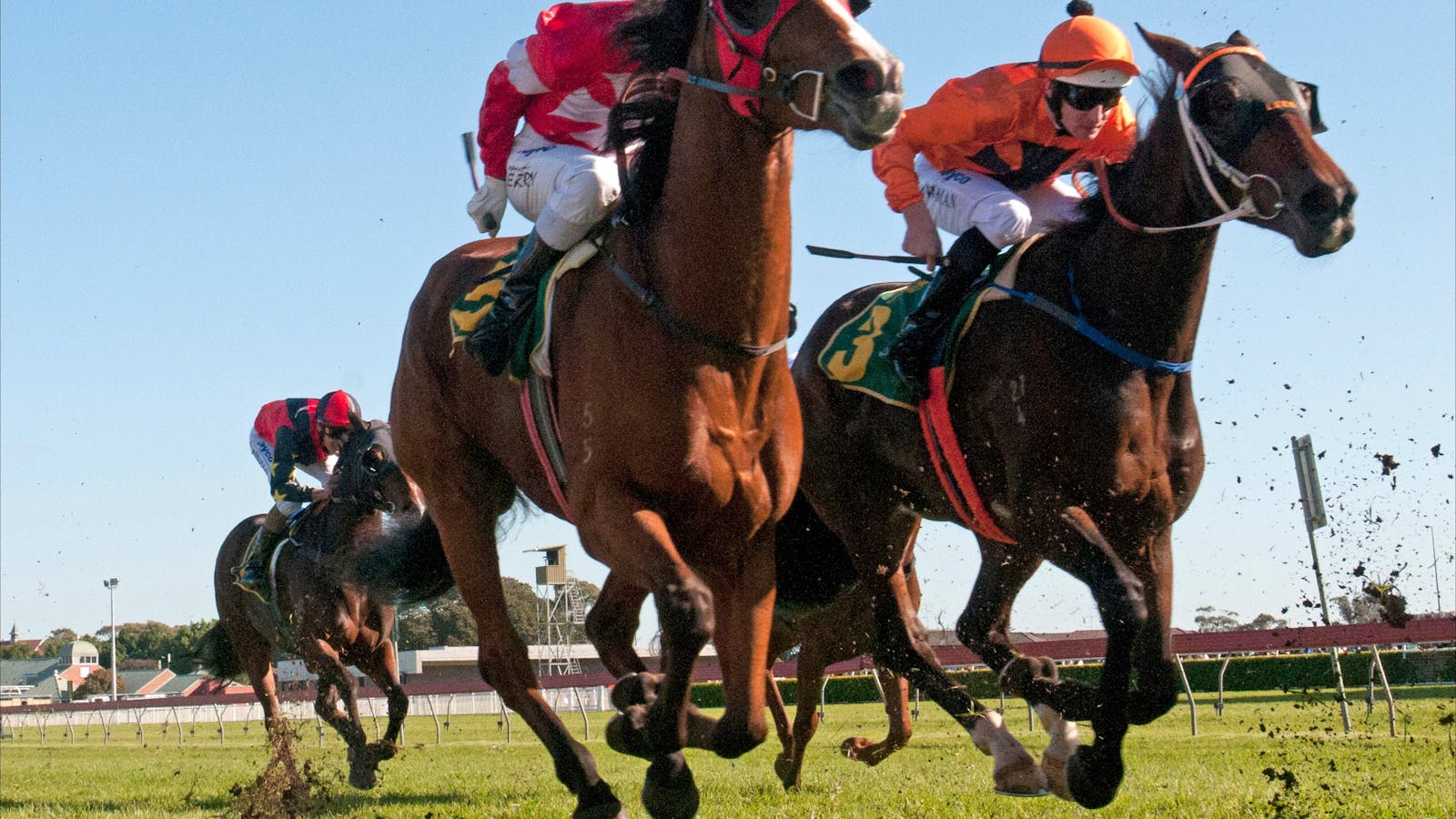 Royal Randwick Racecourse