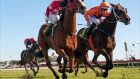 Royal Randwick Racecourse