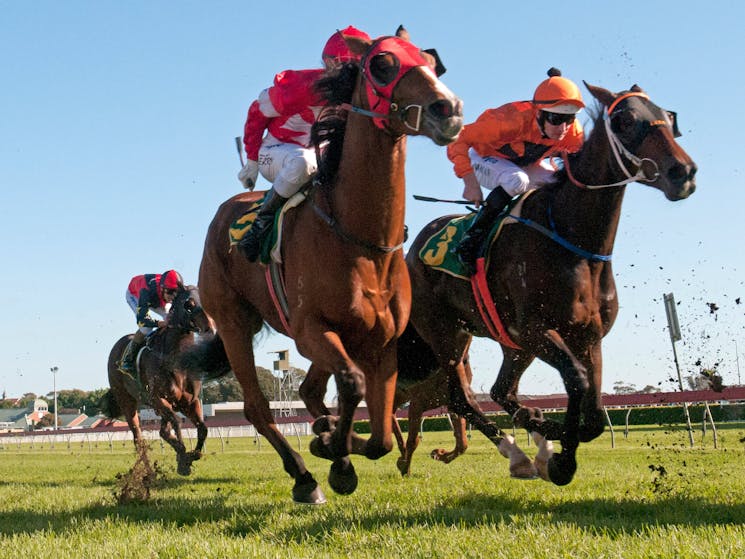 Warwick Farm Racecourse Address Warwick Farm Racecourse Address