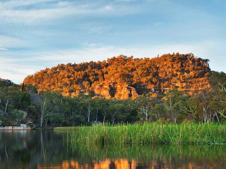 Dunns Swamp - Ganguddy campground, Wollemi National Park. Photo: Ingo Oeland