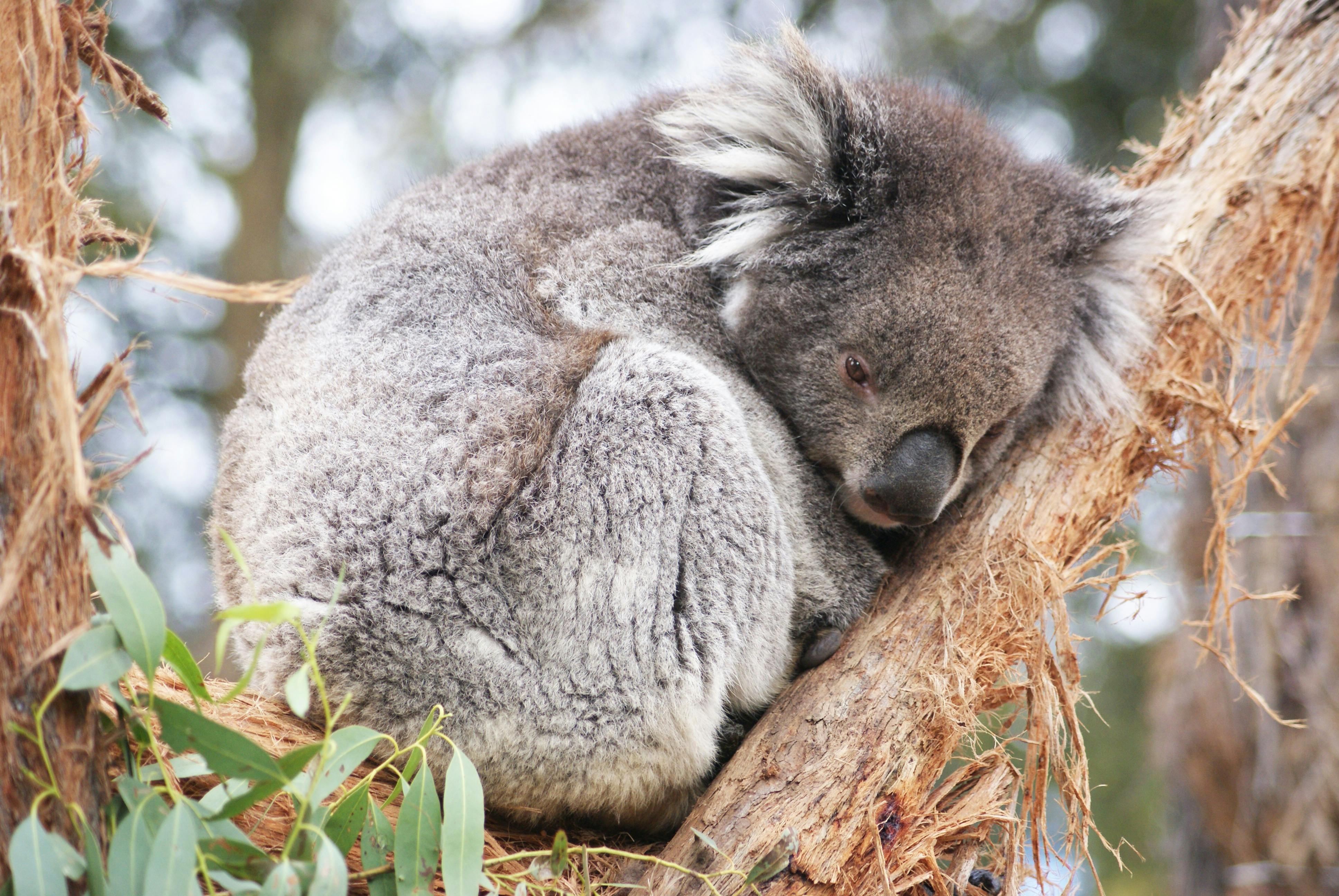 Conservation Study Tours