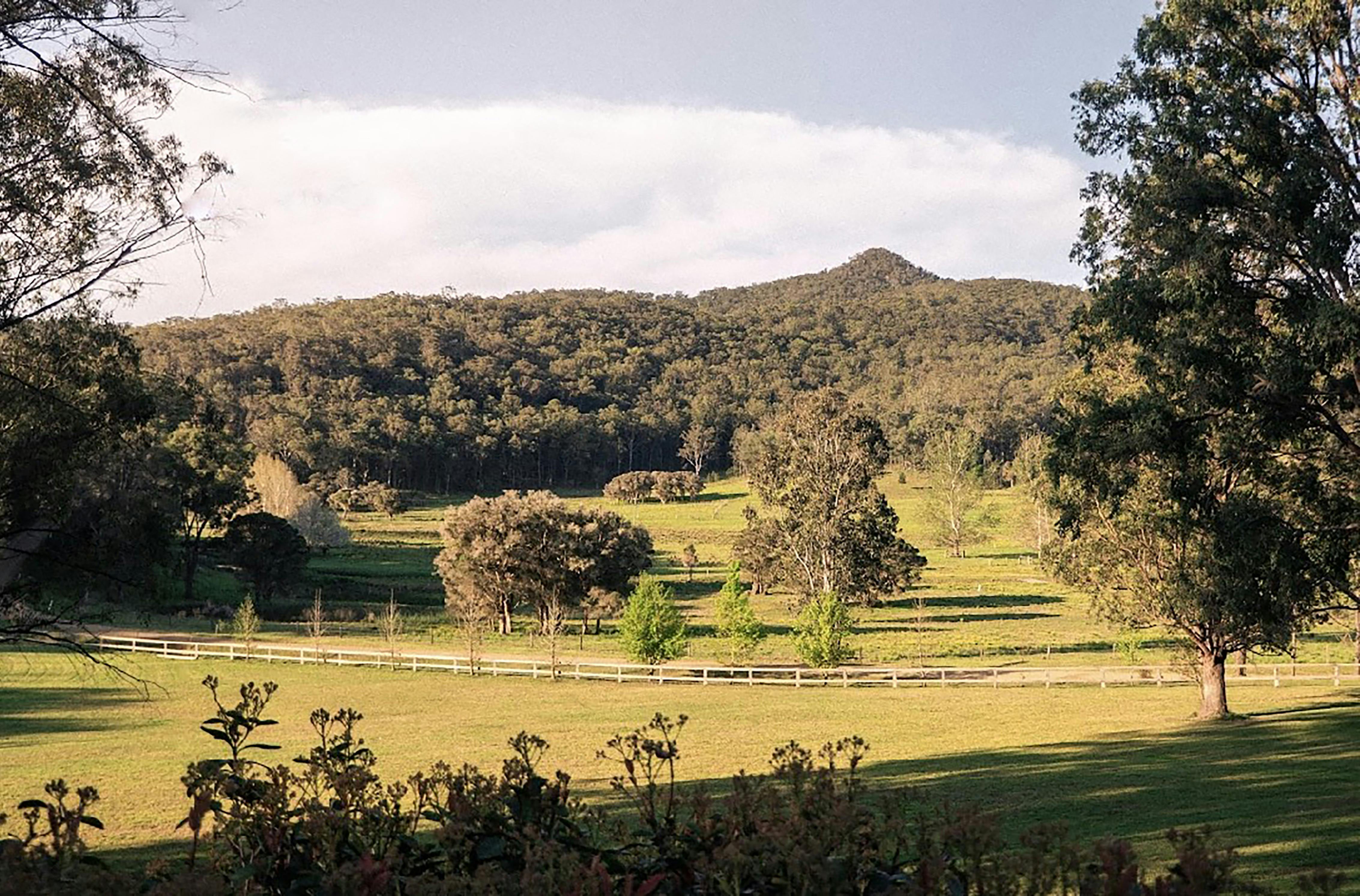 View from Applegums of Narone Creek Rd with Corrabare Mountain overlooking the valley.