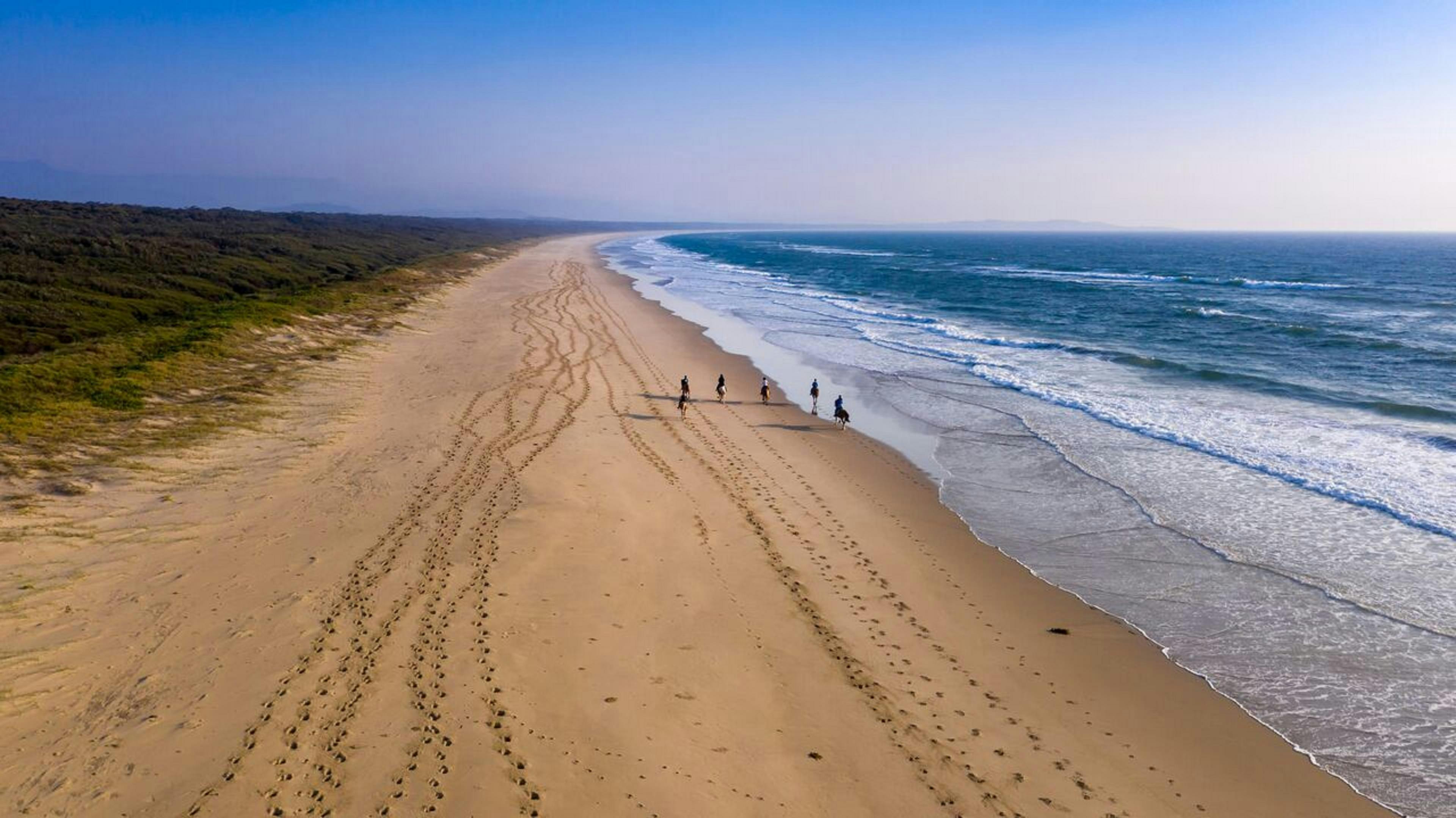 Seven mile beach, endless canters, horses swimming, swimming with horses