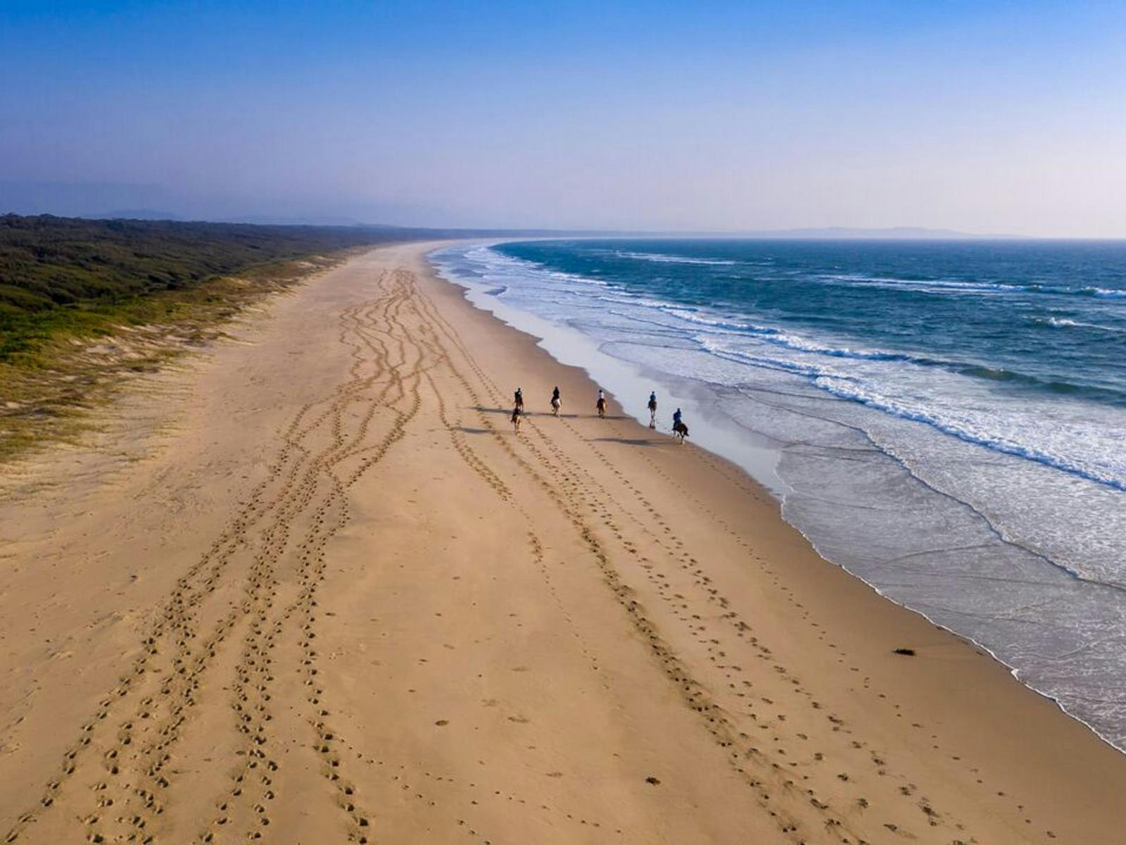 Endless windswept canters on Seven Mile Beach
