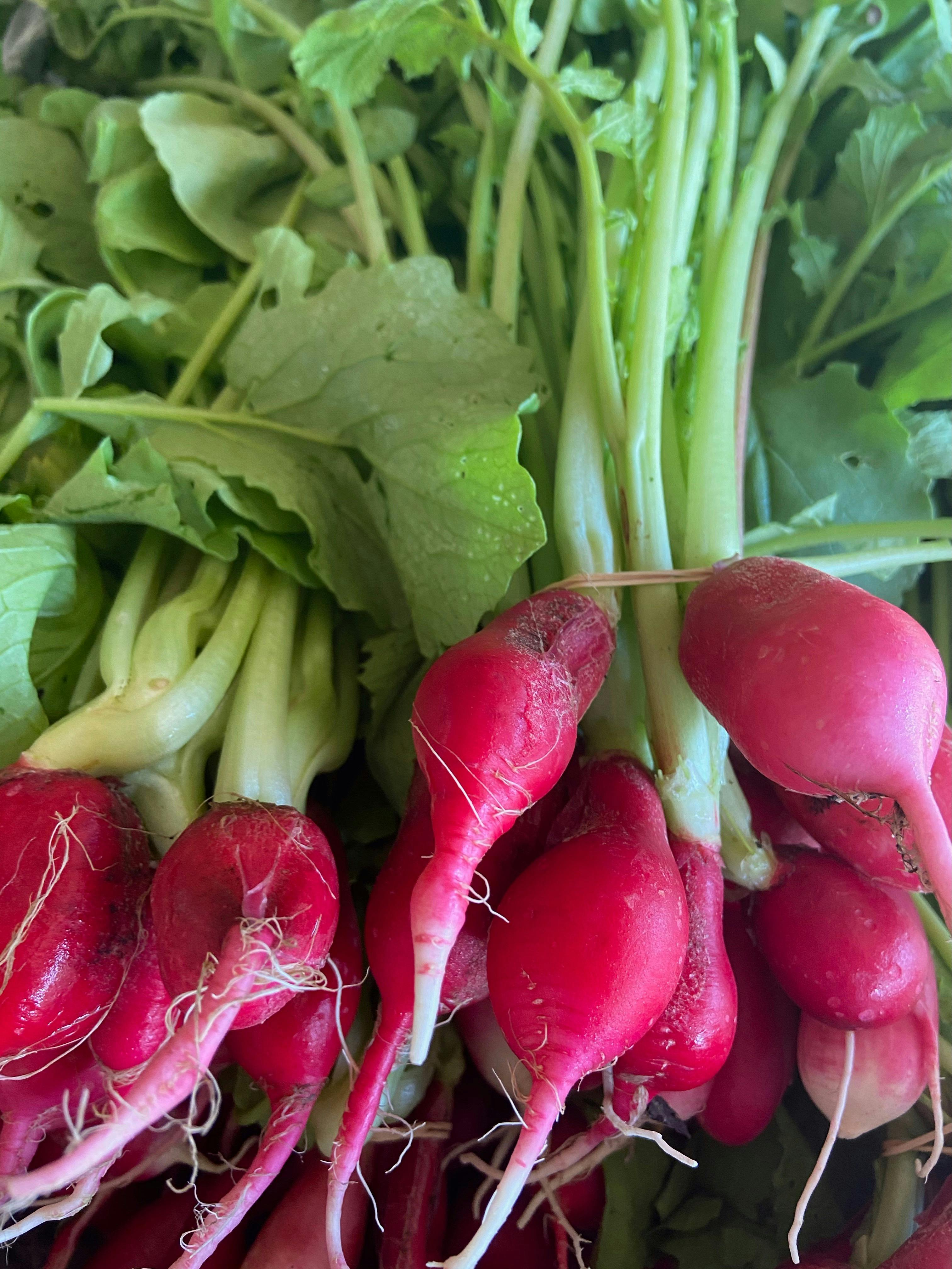 These delicious organic radishes are grown just down the road by one of our local farmers.