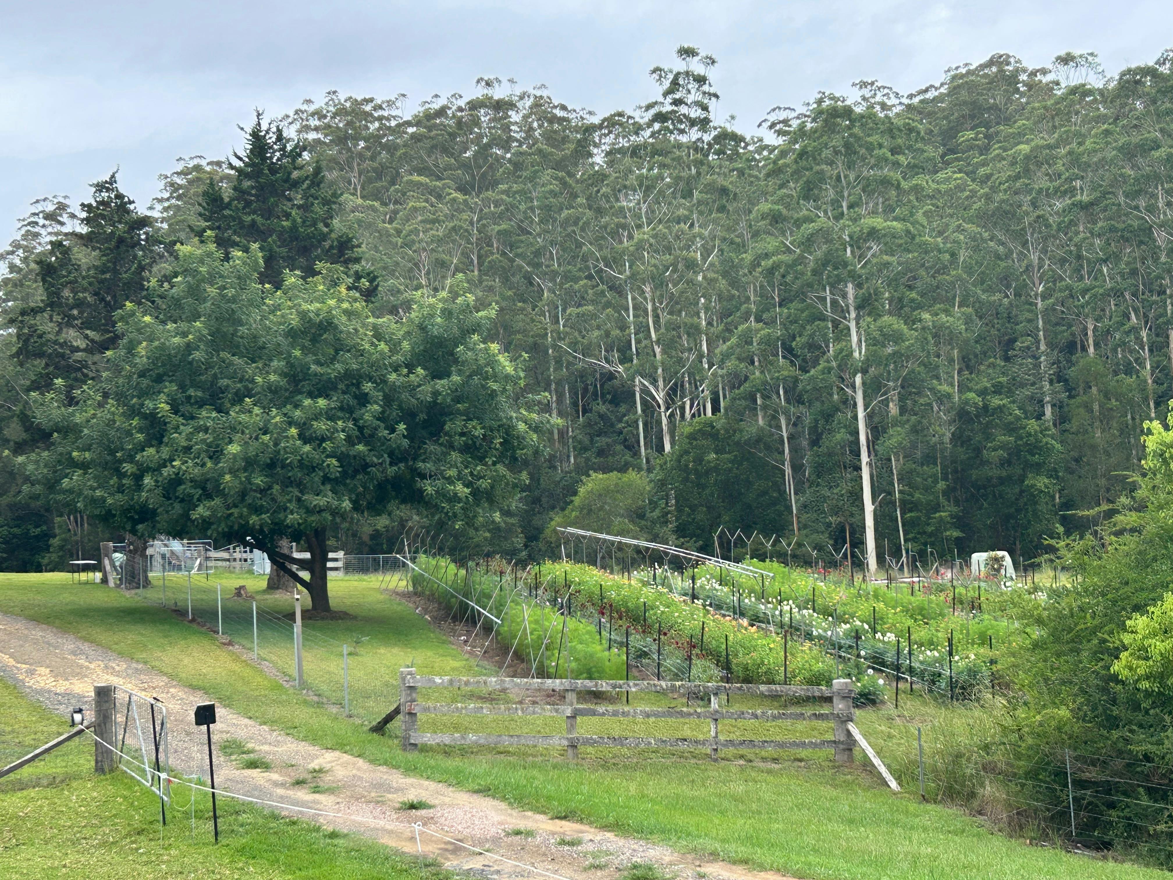View of farmland with flower beds