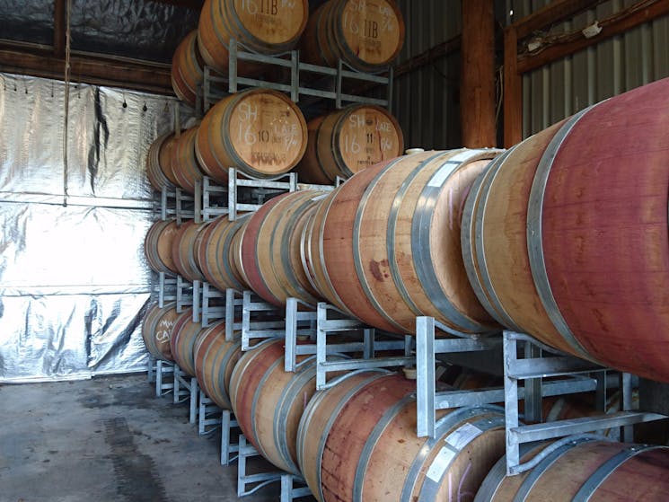 Red wine barrels in a shed