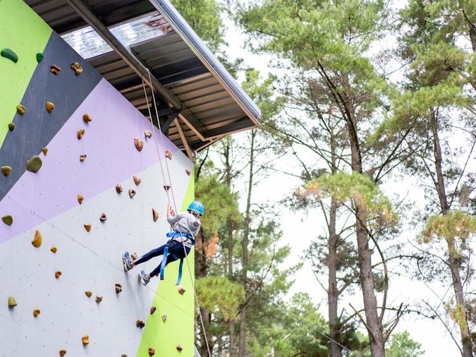 Mighty Yowies Go Wild at Southern Adventure Hub Summer School Holidays
