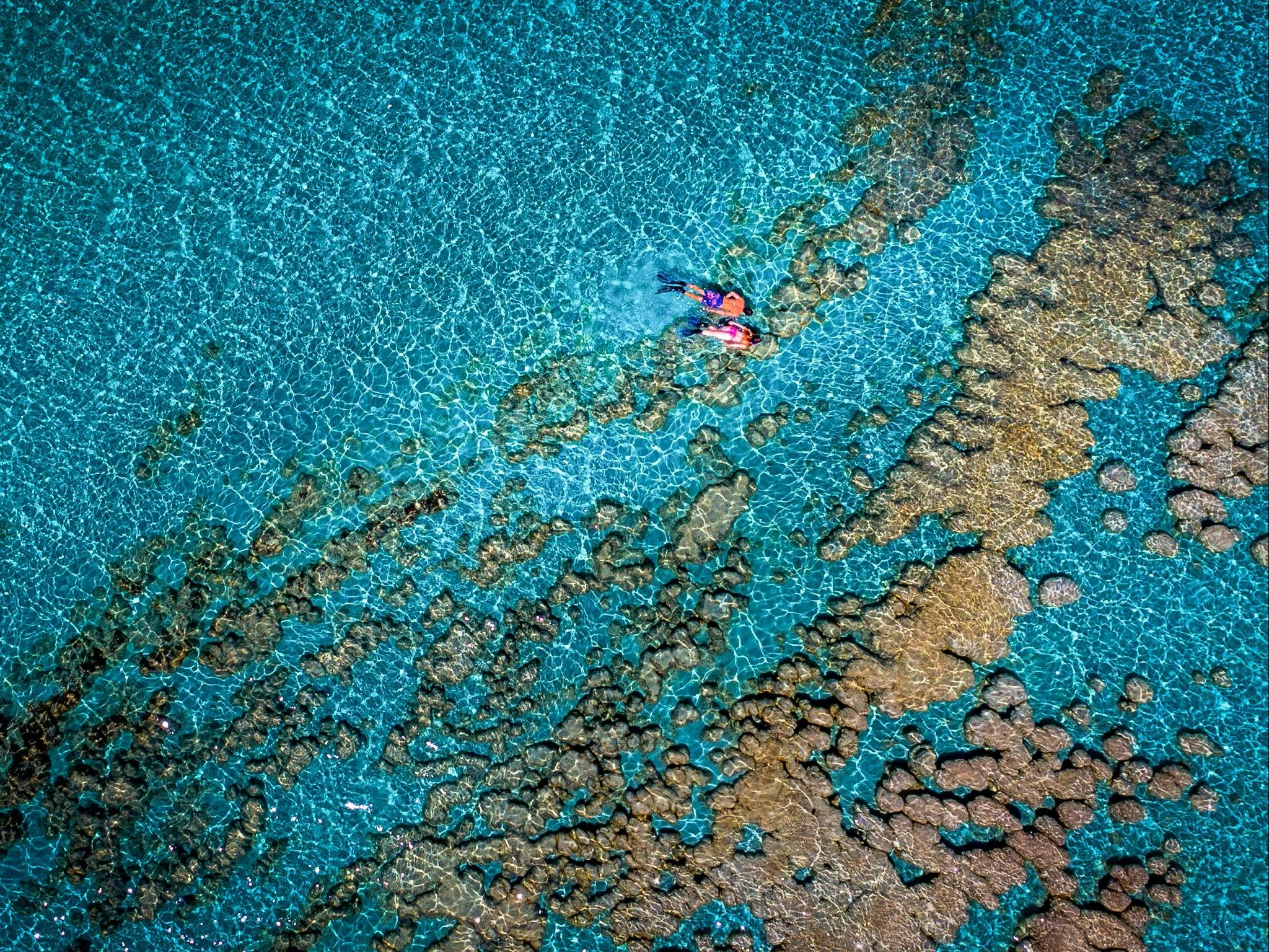 Coral Coast Helicopter Services, Carnarvon, Western Australia