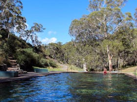 Yarrangobilly Caves Thermal Pool Walk