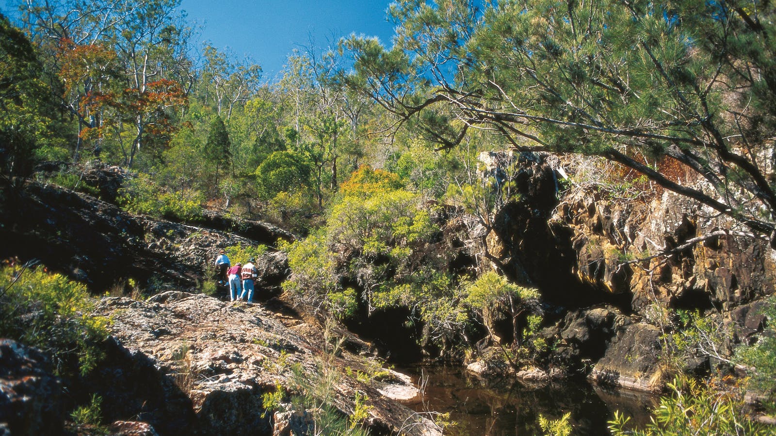 Kroombit Tops National Park