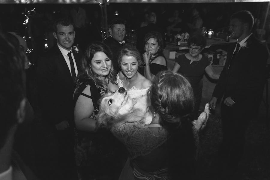 A bride and her dog on the dancefloor