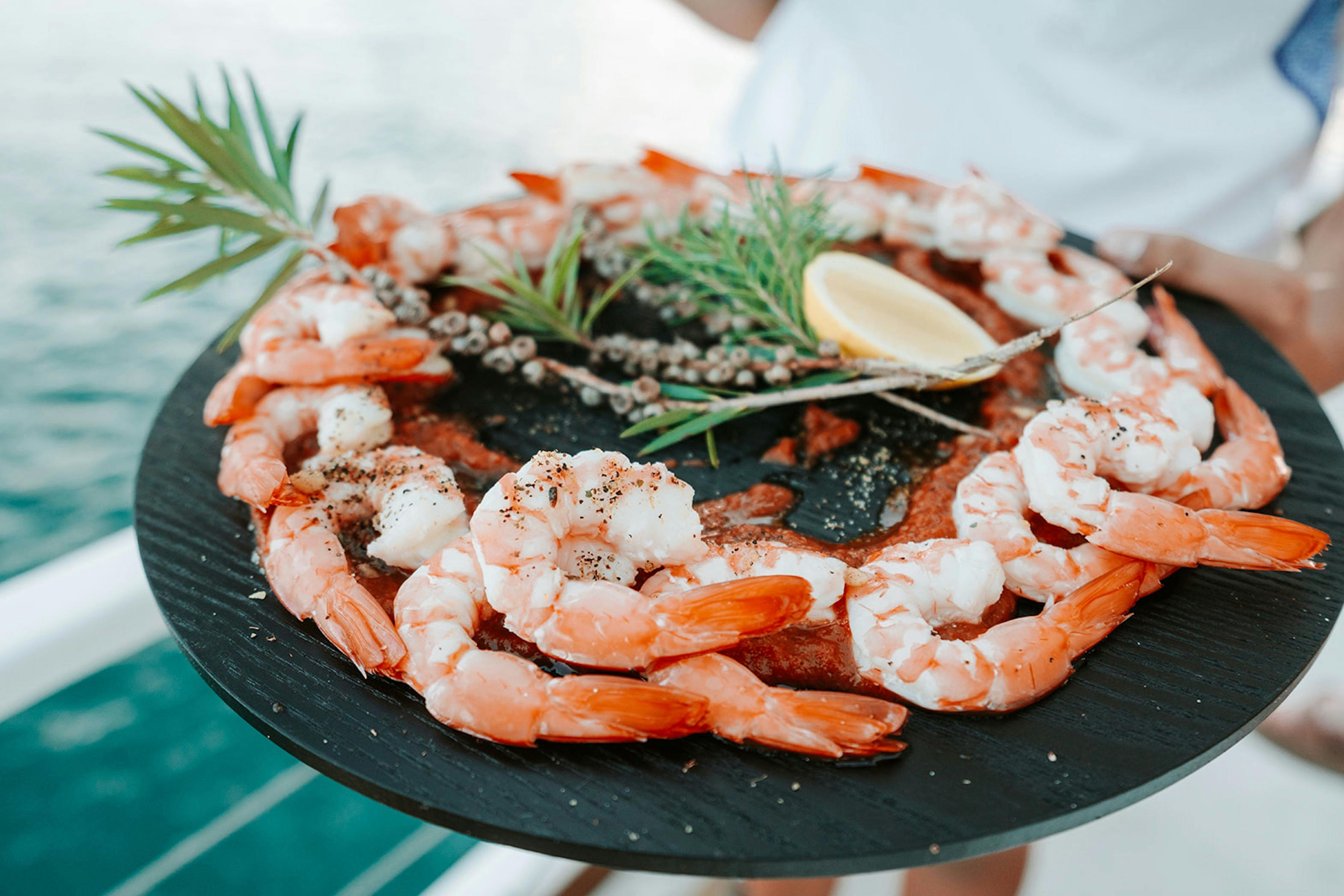 Mooloolaba Prawns Saltwater Eco Tours Bushtucker Cruise