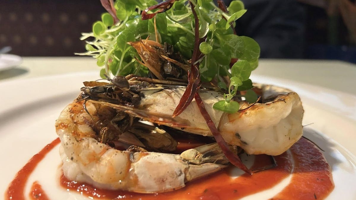 Prawns