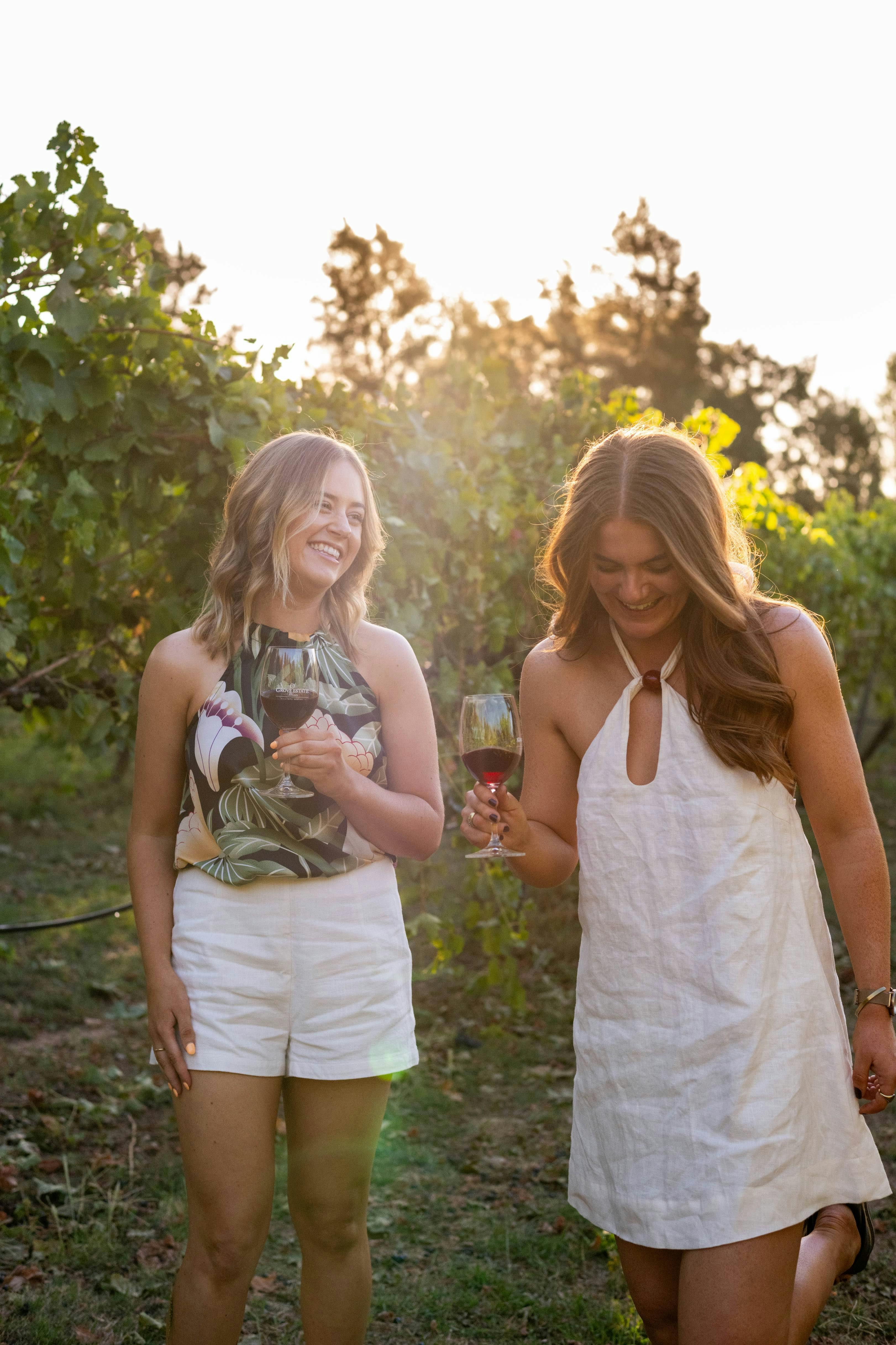 Grove Estate – Wine Tasting Experience