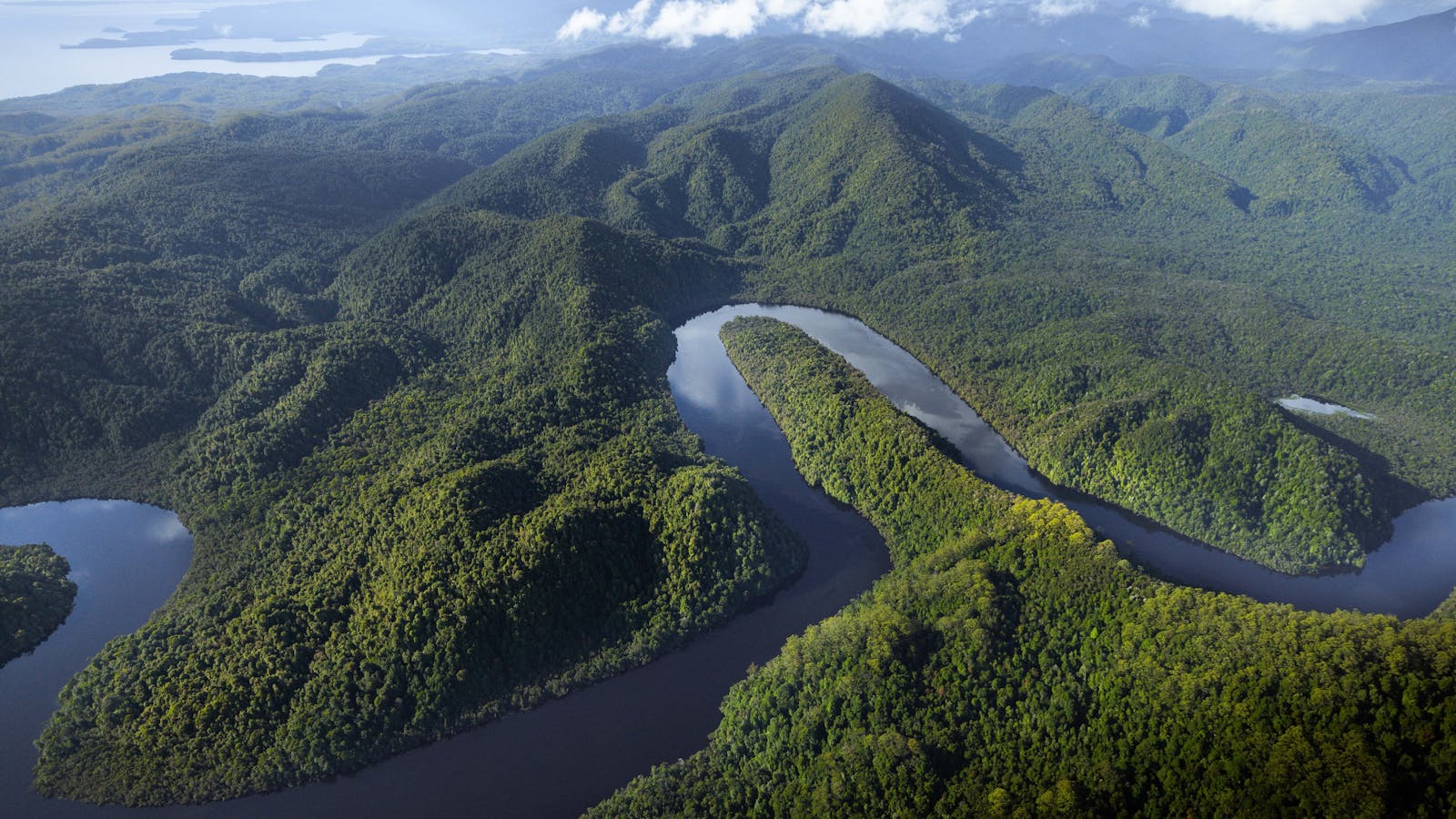 Gordon River