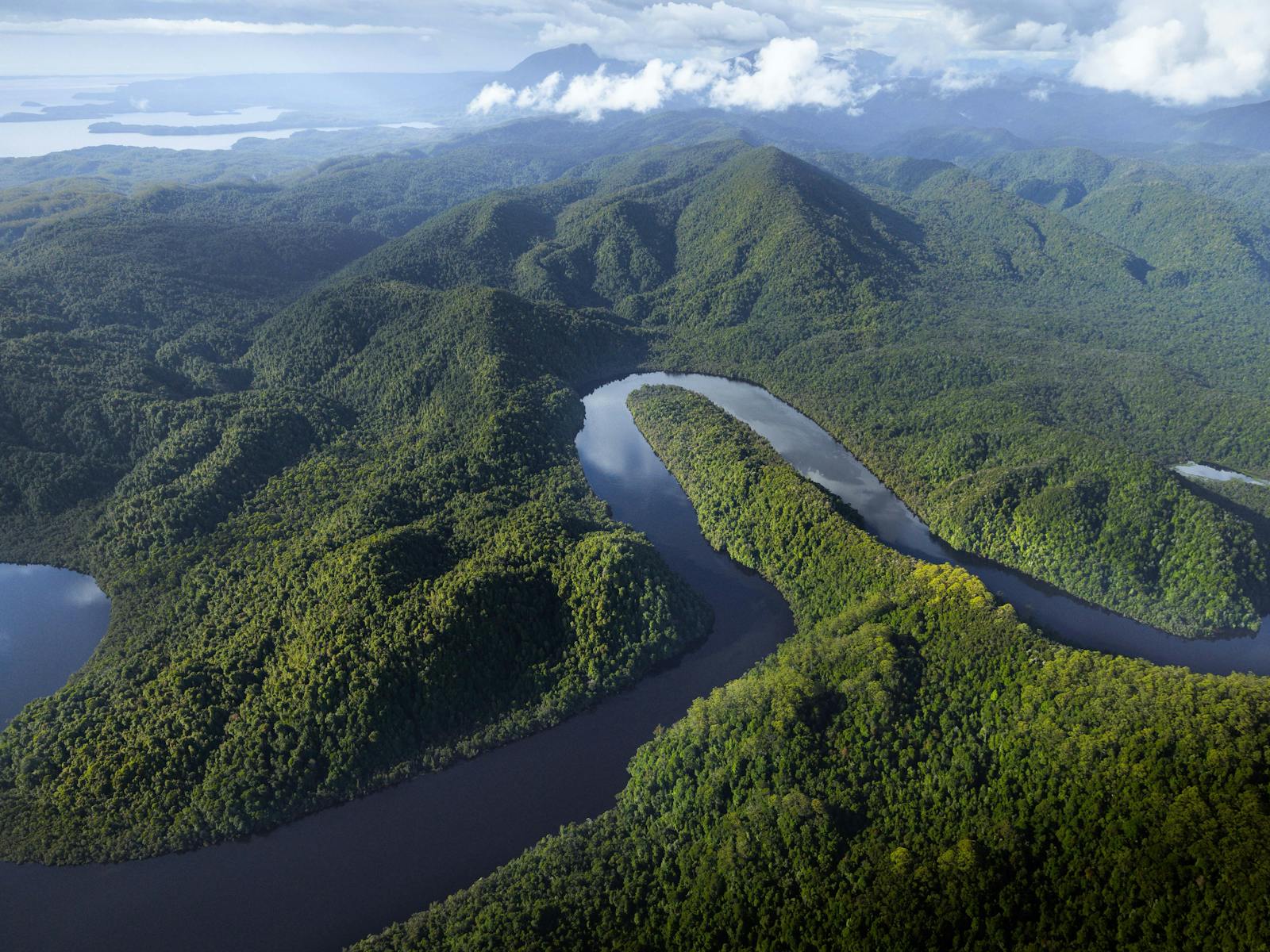 Gordon River