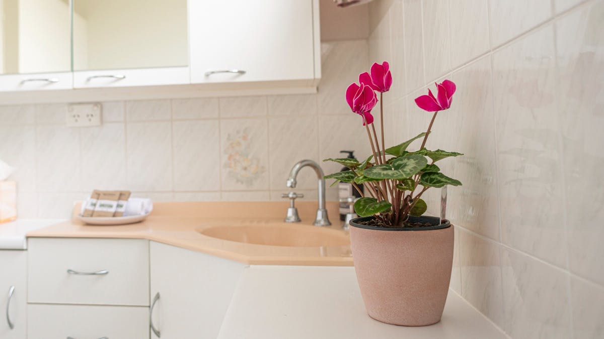 Marnita Farmhouse Bathroom