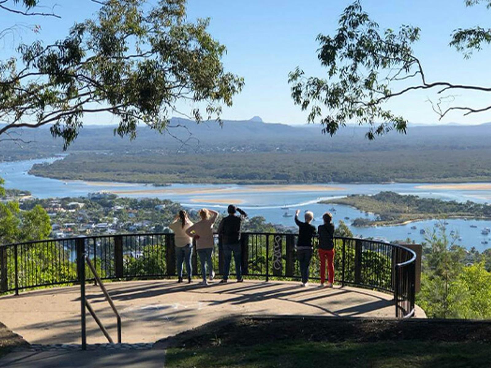 Noosa Everglades Cruise & Highlights