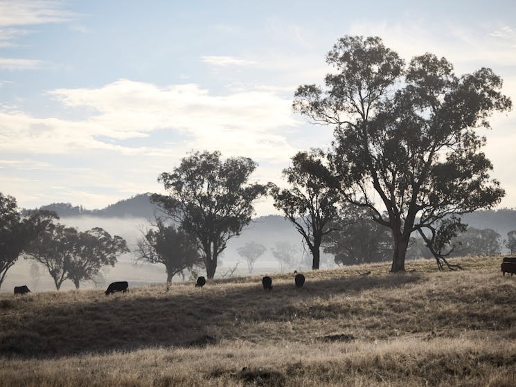 Rosby Guesthouse Landscape