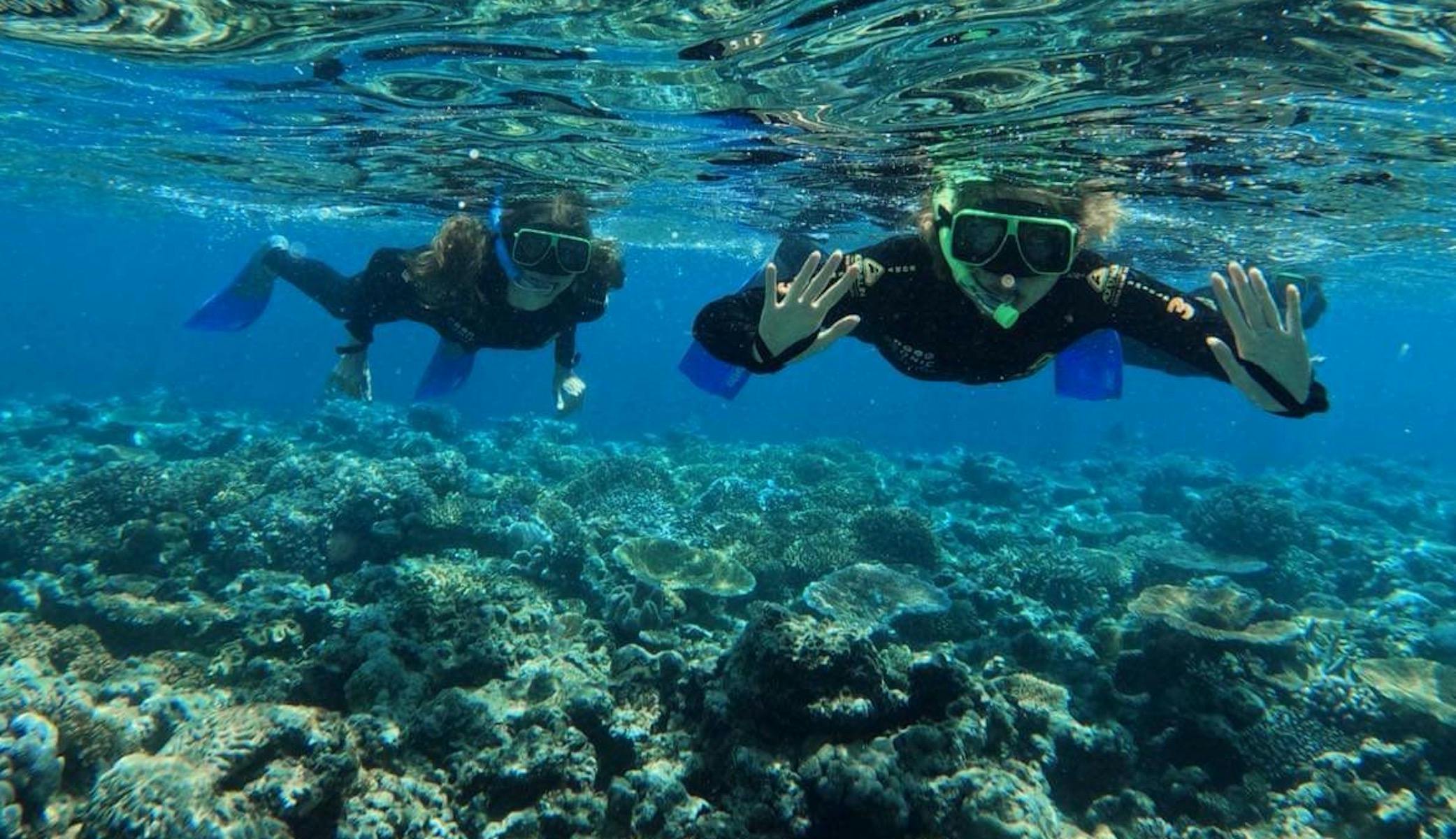 Snorkel outer Great Barrier Reef Whitsundays Viper Iconic