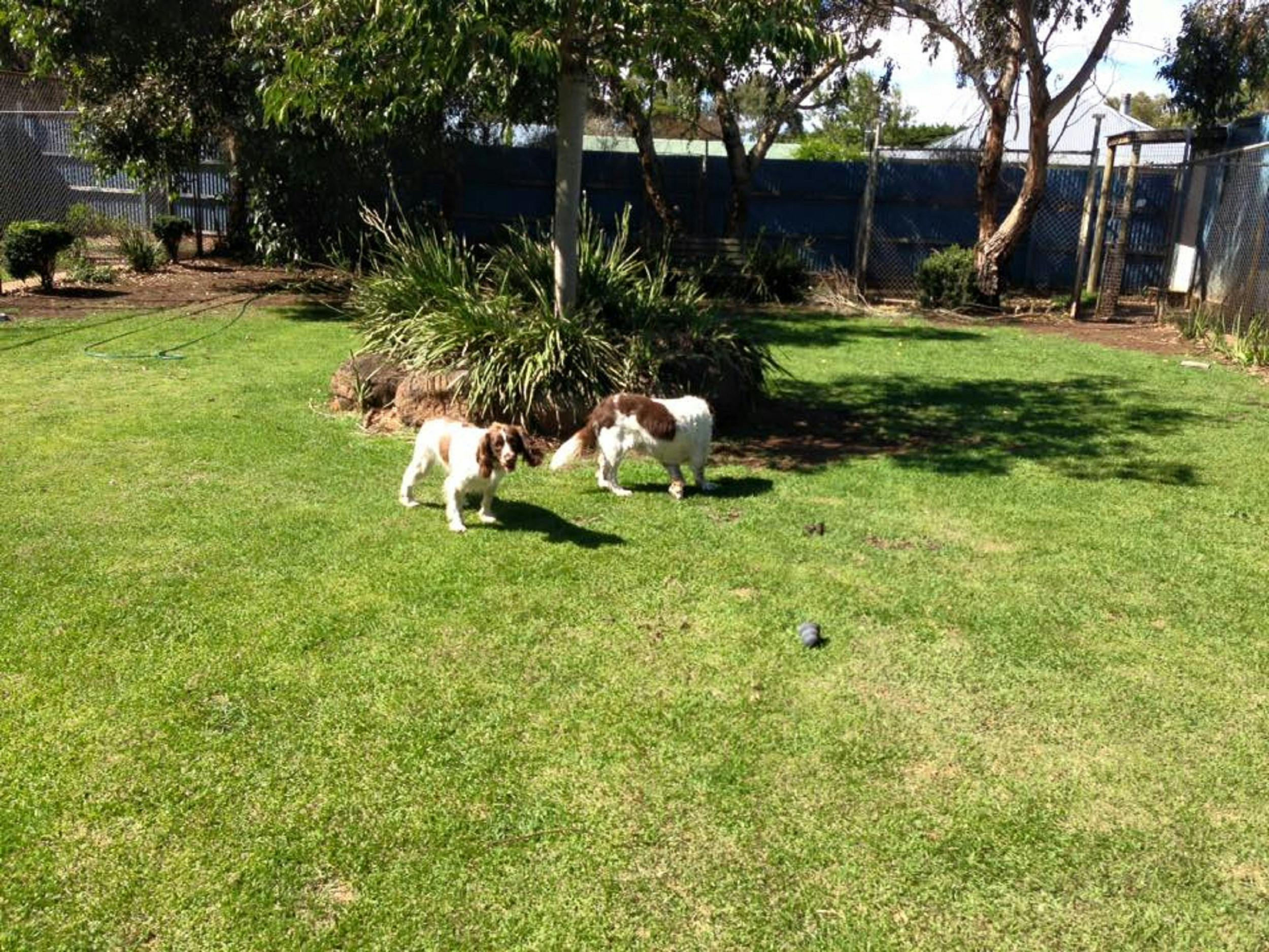 Port Fairy Lose yourself to the creativity of a communityPort Fairy