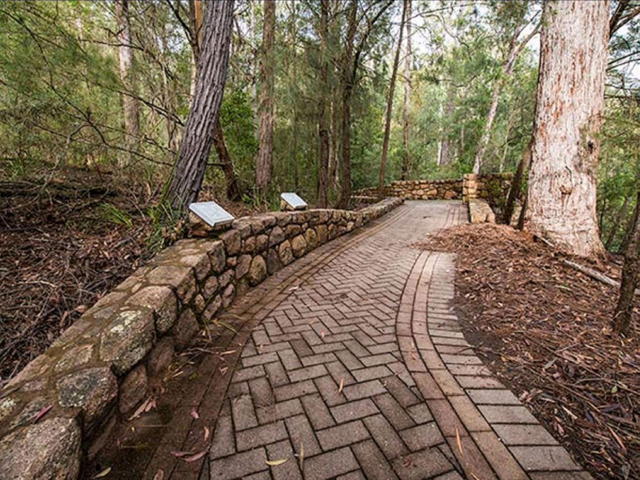 Biamanga Cultural Area (Mumbulla Creek Falls and Picnic Area)