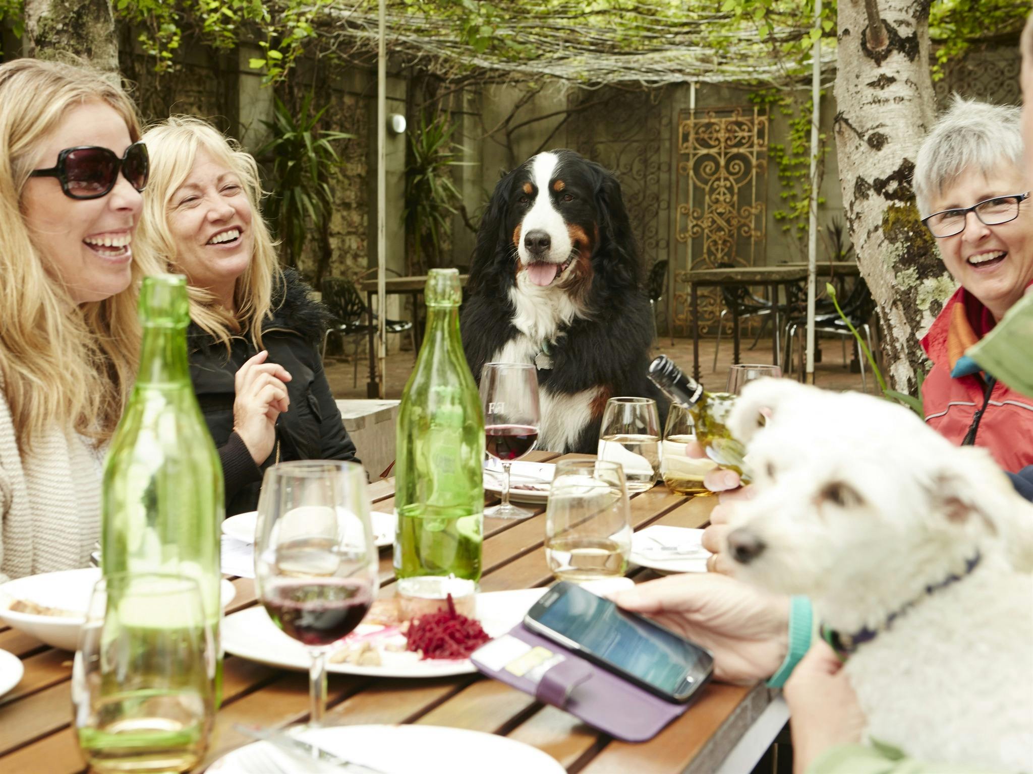 Gourmet Pawprints - Dog Friendly Tours