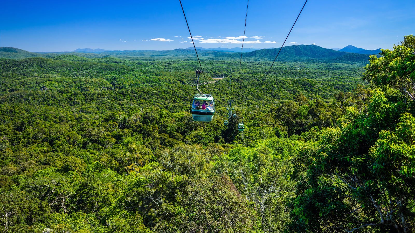Skyrail Rainforest Cableway
