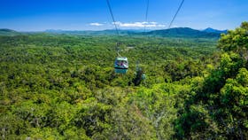 Skyrail Rainforest Cableway