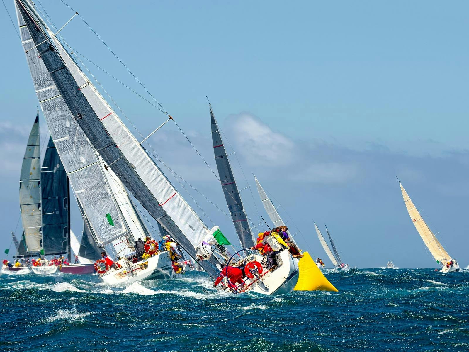 Watch the adrenaline-packed Rolex Sydney Hobart Yacht Race commence on Sydney Harbour on Boxing Day