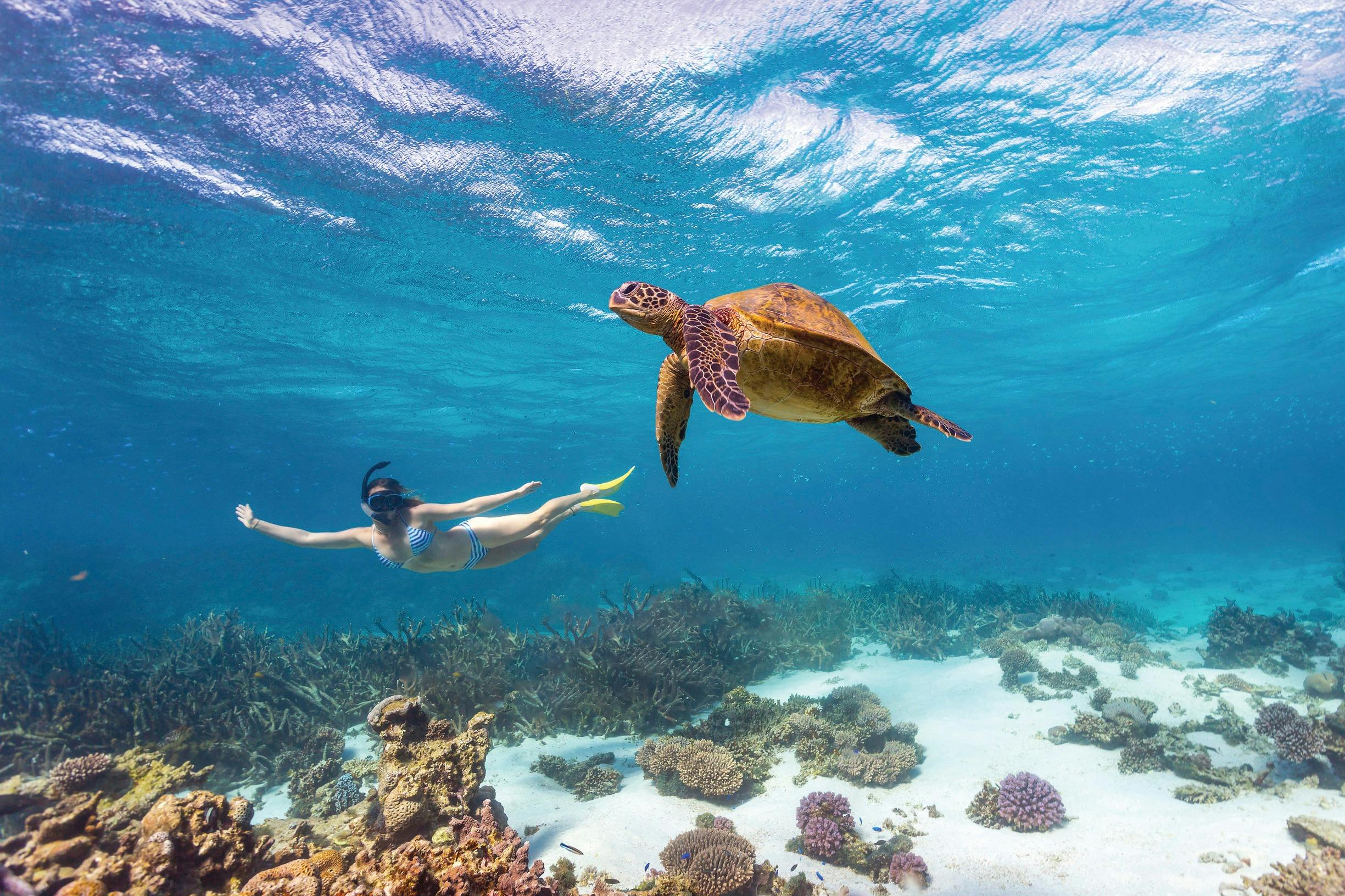Best of Coral Coast, Coral Bay, Western Australia