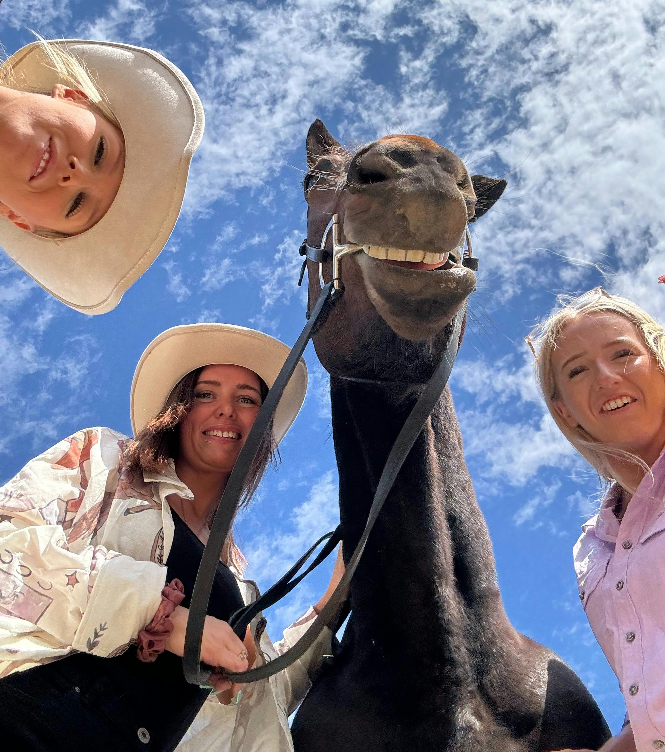 Equine riding experiences with friends or family