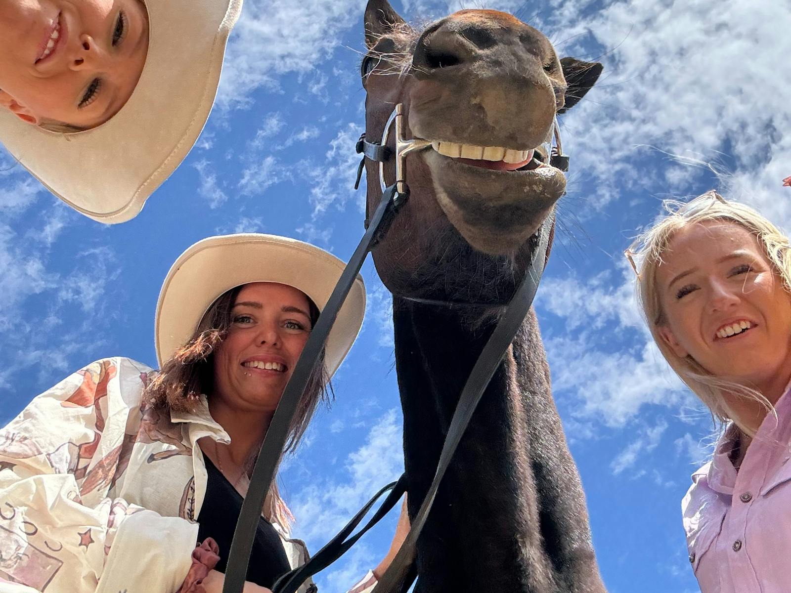 Equine riding experiences with friends or family