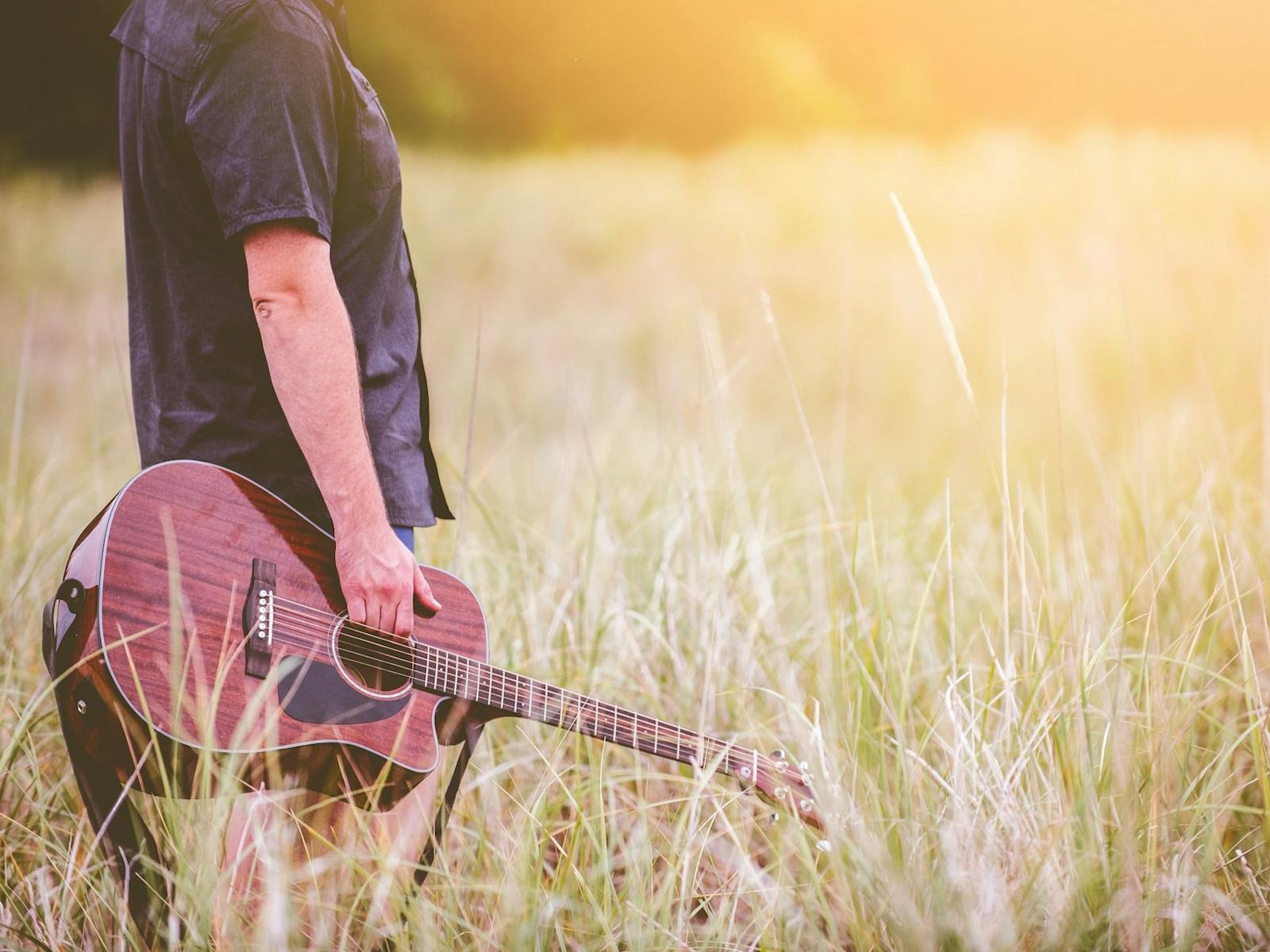 Live music will be a feature of the festival
