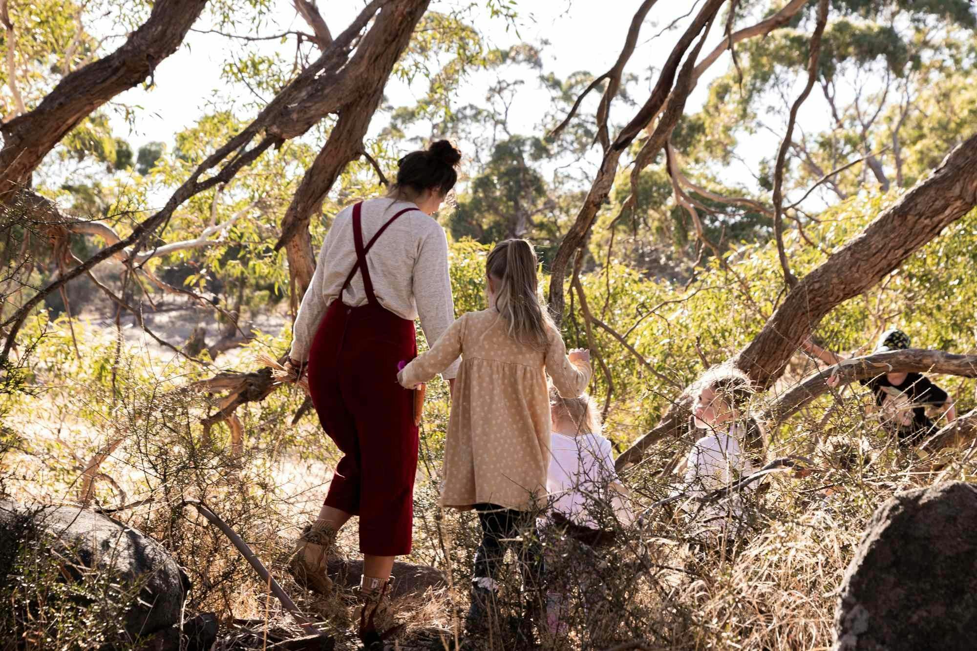 Forest Foraging Barossa Wellness and Barossa Outdoors